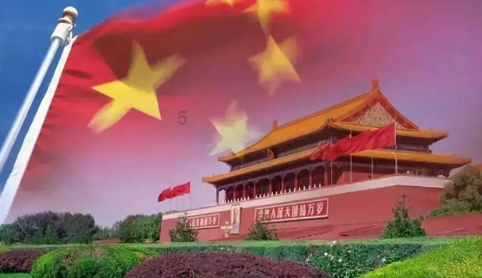 救援达尔马提亚狗