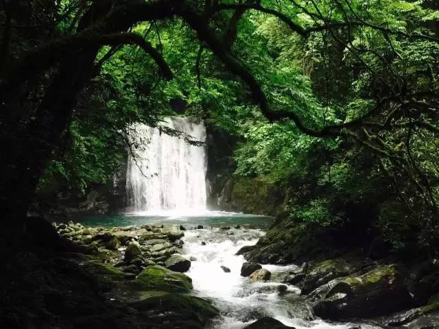 清凉夏日冰淇淋